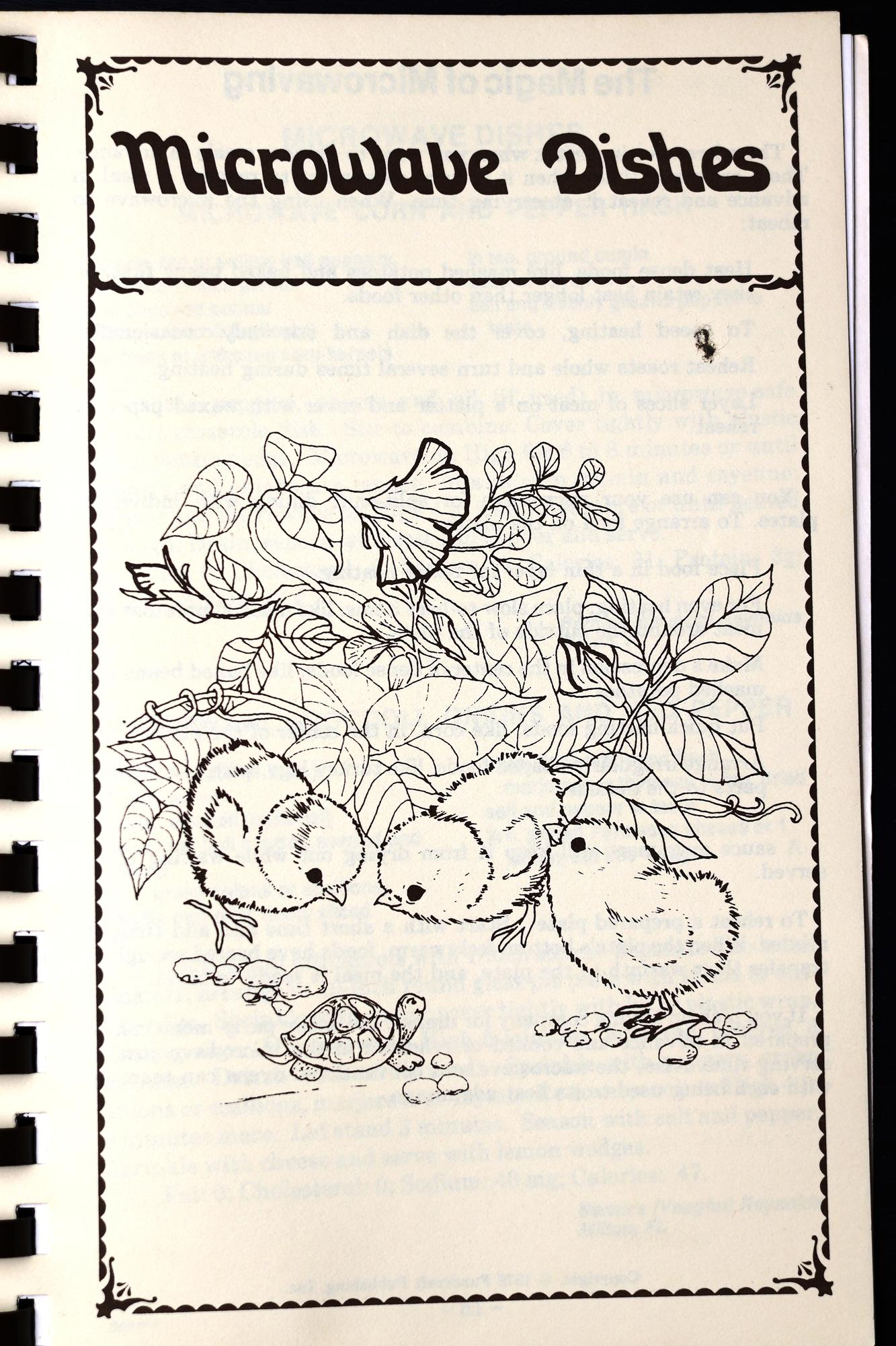 Page 101